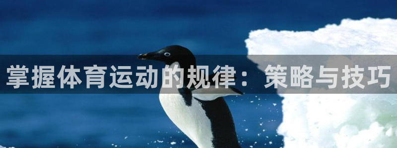 oety欧亿：掌握体育运动的规律：策略与技巧