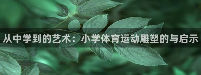 oety欧亿：从中学到的艺术：小学体育运动雕塑的与启示
