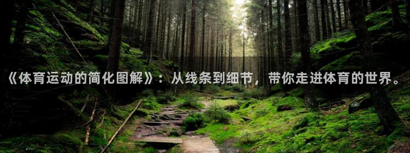 oety欧亿：《体育运动的简化图解》：从线条到细节，带你走进体育的世界。