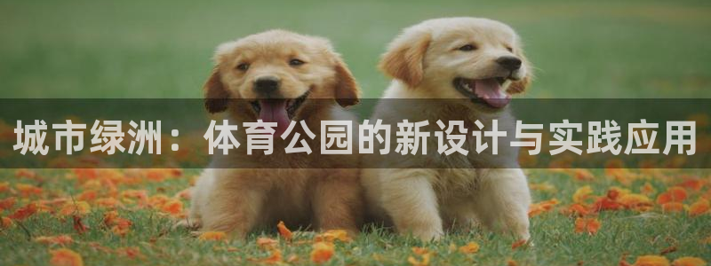 oety欧亿：城市绿洲：体育公园的新设计与实践应用