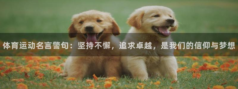 oety欧亿：体育运动名言警句：坚持不懈，追求卓越，是我们的信仰与梦想
